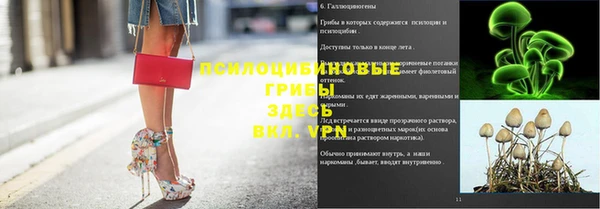 гидра Переславль-Залесский
