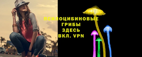 бутират Пересвет
