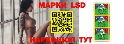 spice Заволжье