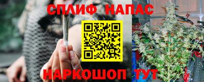 ПСИЛОЦИБИНОВЫЕ ГРИБЫ Заводоуковск