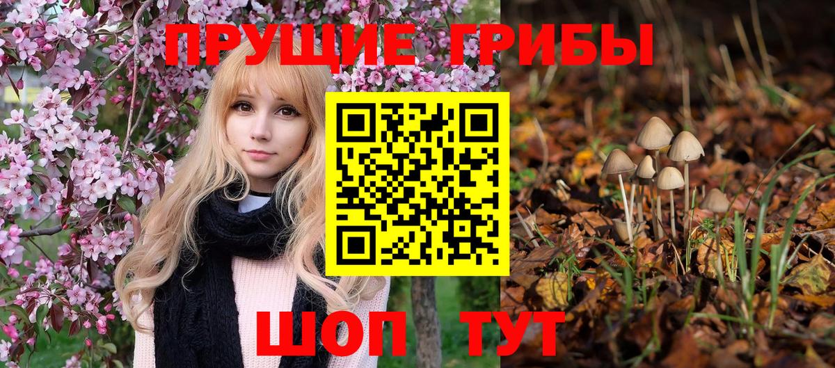 Псилоцибиновые грибы мицелий Мурманск