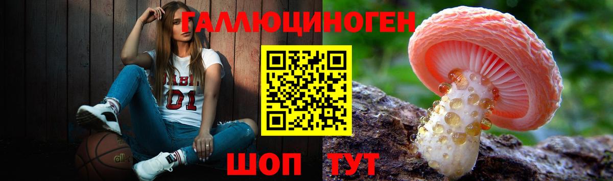 Мурманск  Псилоцибиновые грибы MAGIC MUSHROOMS  Вход с VPN 